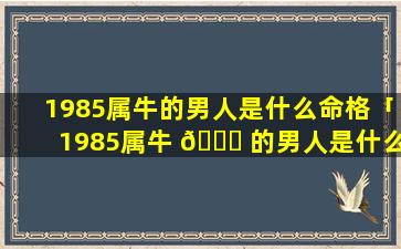 1985属牛的男人是什么命格「1985属牛 🐟 的男人是什么 🐯 命格的」